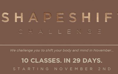 The Shapeshift Challenge